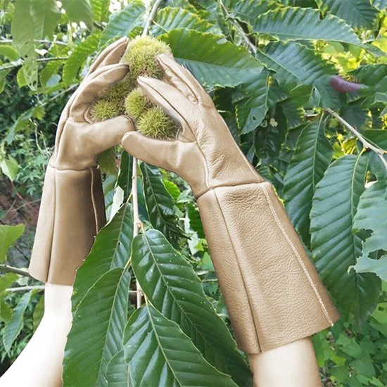 Waterafstotende Lederen Tuinhandschoenen met Extra Lange Manchetten – Ultieme Bescherming en Comfort voor Tuinieren-Maat M