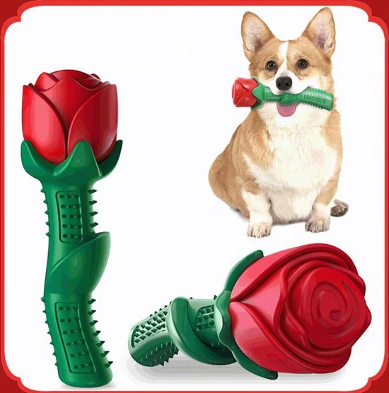 Bijtspeelgoed voor Honden – Goed voor tanden – Niet giftig en duurzaam TPE -vorm van een Roos