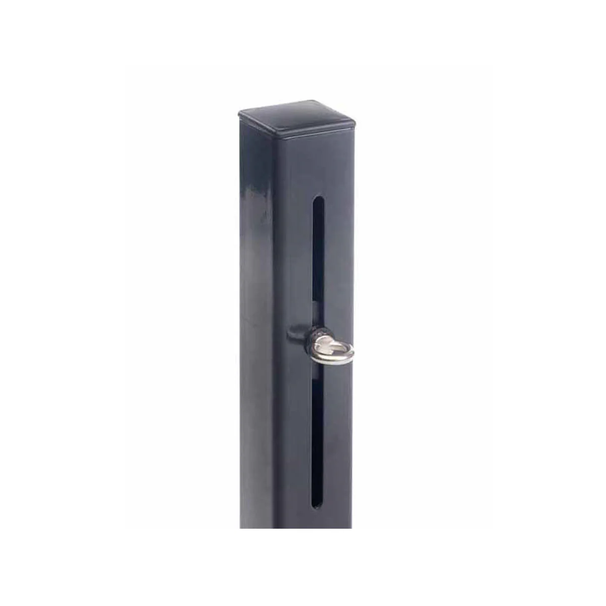 Platinum paal met flex oog antraciet 7 x 7 x 250 cm