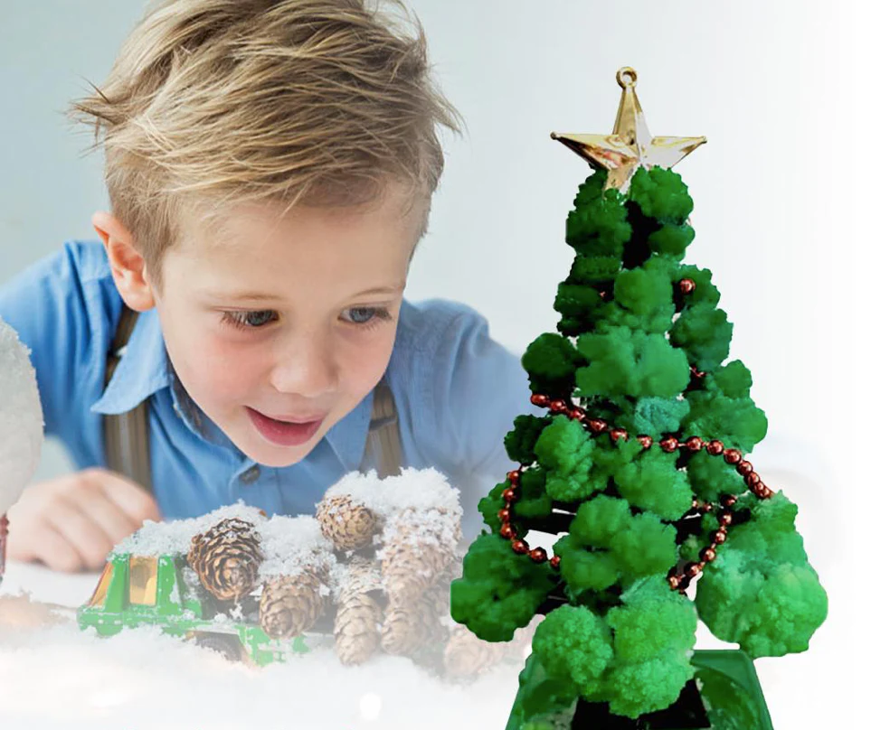 GrowTree™ – Kweek je eigen kerstboom! – Kerstboom kweekset (1+1 GRATIS)