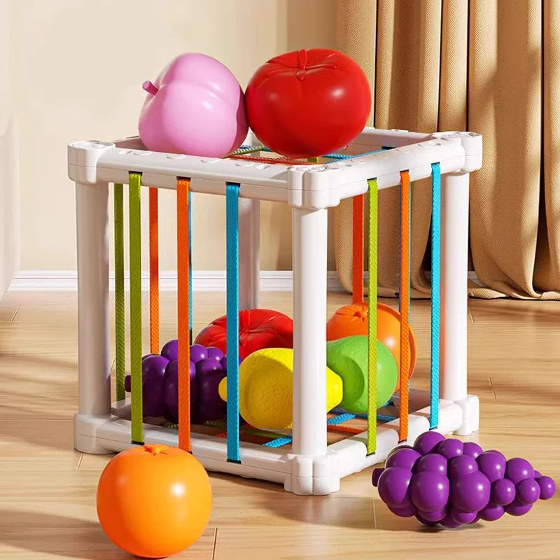 Fruit Box™ – Snijden, Spelen, Leren – Fruit in box